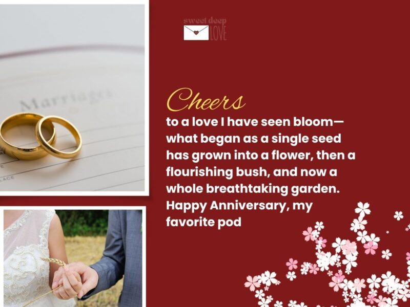 Happy anniversary wishes for couples
